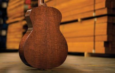 Taylor Guitars emphasize the wood. This is from their promotional materials